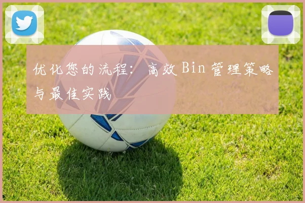优化您的流程：高效 Bin 管理策略与最佳实践