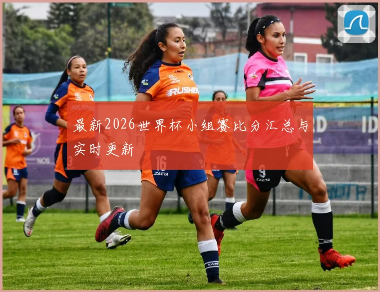 最新2026世界杯小组赛比分汇总与实时更新