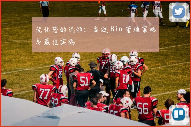 优化您的流程：高效 Bin 管理策略与最佳实践